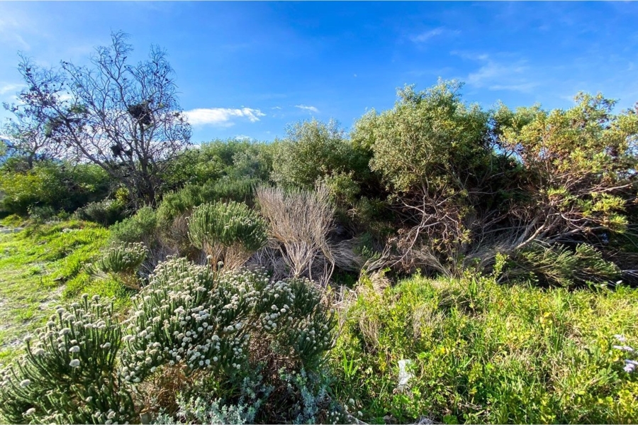0 Bedroom Property for Sale in Bettys Bay Western Cape